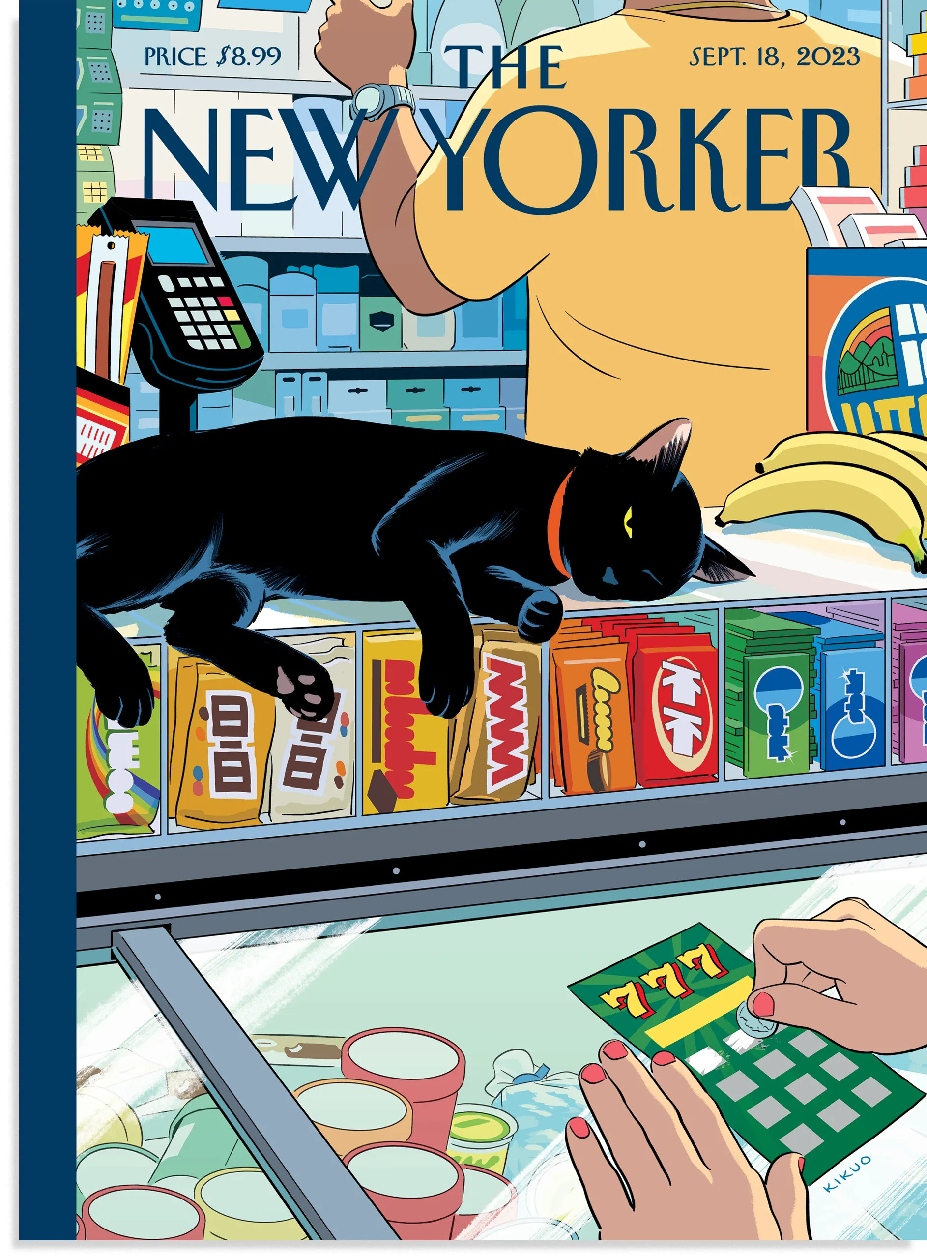 Bodega Cat